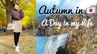 A DAY IN MY LIFE IN JAPAN: AUTUMN IN SAPPORO + YAKITORI : 日常のある一日 一人暮らし