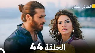 مسلسل الطائر المبكر الحلقة 44 (Arabic Dubbed)