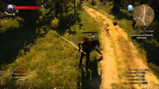 The Witcher 3 - Kills!