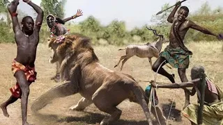 Great Battle: Maasai Warrior Takes Weapons To Chase The Fierce Lion Successfully Rescue Poor Kudu