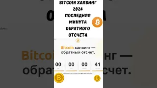 Bitcoin Халвинг 2024 - Последняя Минута Обратного Отсчета / Halving #shorts 💸