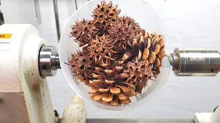 Woodturning The Nuts !  職人技 ! 木工旋盤で木の実を削る！