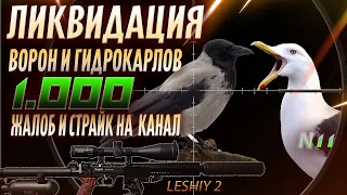 Ликвидация Вредителей № 11. Жалобы на канал.  Crow Hunting 2023. Кроухантинг. Jack Hunter.