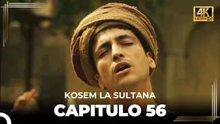 Kosem La Sultana | Capítulo 56 (4K)