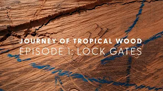 Journey of tropical wood | Episode 1: Lock gates in Amsterdam