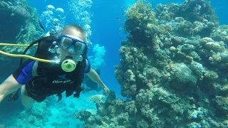 Отдых в Египте   Шарм эль шейх  Aqua Hotel Resort & Spa  Красное море  Дайвинг  GoPro