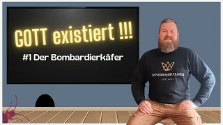 Gott existiert - Der Bombardierkäfer