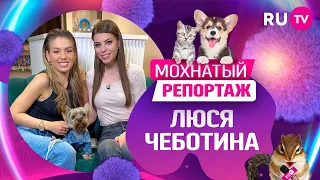 Мохнатый репортаж: Люся Чеботина