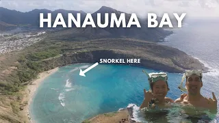 Hanauma Bay: Best Snorkelling 2024