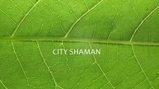 Herhangi - City Shaman (Official Trailer) Empire Studio Records