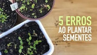 NUNCA mais ERRE ao PLANTAR SEMENTES