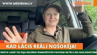 Kad lācis reāli nošokēja! Riesta laikā tas bija nolēmis iesmaržoties pavisam netālu no Saulkrastiem