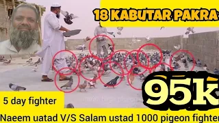 Naeem uatad V/S Salam | 1000 Gola Kabootar k Lariyan 2022 | 18 kabuooar pakre | day 5 | Gola kabutar