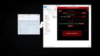 Manual Map DLL Injector [x86/x64]