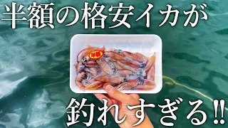 大物や高級魚まで入れ食い！スーパーで買った半額のホタルイカが神エサすぎました