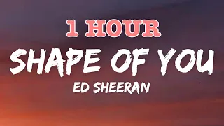 Shape Of You   Ed Sheeran Lyrics - 1 hour