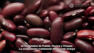 De la dieta tradicional mesoamericana a la alimentación funcional