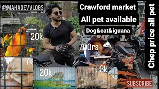 chepest pet market in mumbai (iguana) cats and dog birds and mor (Crawford market ) #dog #iguana
