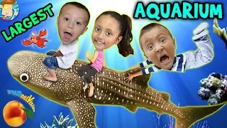 Family Trip to GEORGIA AQUARIUM World's Largest w  WHALE SHARK & Dolphin Tales Show ATL Vlog #1