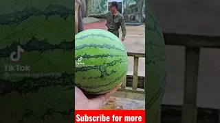 elephant eat a watermelon || animal videos || animal videos || animal #animals #wildanimal