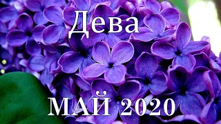 #ДЕВА #МАЙ 2020 Таро прогноз от Татьяны Байер