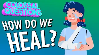 How Do We Heal? | COLOSSAL QUESTIONS