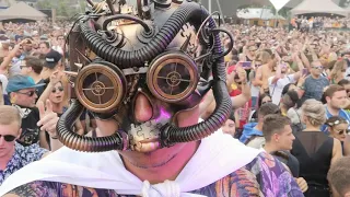 Q-dance Stage Tomorrowland