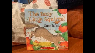 The Busy Little Squirrel