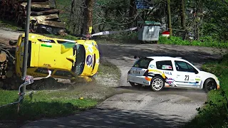 The Best of Rally 2019 | Big Crashes, Action & Flat Out [Video Brum Brum]