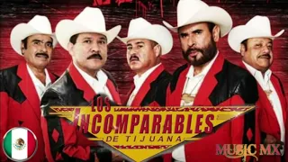Los Incomparables De Tijuana - Corridos Perrones Mix