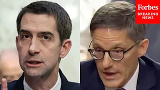 ‘Another Example Of The Bad Judgement You’ve Displayed’: Tom Cotton Attacks Key Nominee