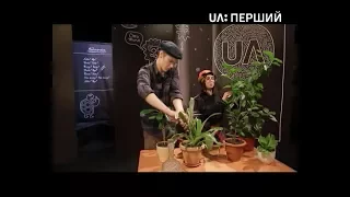 Лайфхак українською. Не проґавте літеру Ґ