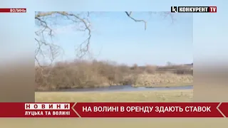 Бізнес на рибі! На Волині в оренду здають ставок: де саме і за скільки