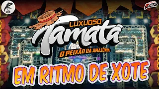 LUXUOSO TAMATÁ - EM RITMO DE XOTE - QUADRA JUNINA 2023 - XOTE TRADICIONAL