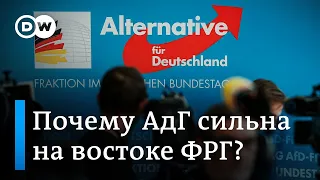 Правящий ХДС или правопопулистская АдГ: кто станет сильнейшей партией в Саксонии-Анхальт?