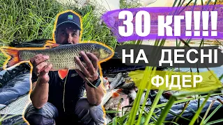 ⚠️Крута рибалка на Десні👉Деснянські монстри ламають фідера❗️❗️❗️ 30 кг риби за день😱