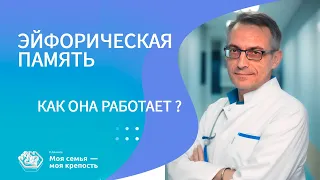 Эйфорическая память. Как она работает | Лечение наркомании | Наркологическая клиника МСМК