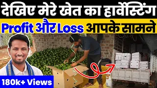 किसान भाईयों ईतना अच्छा तगड़ा माल निकाला पर "रेट" ही नहीं मिला😞😞Harvesting and Packing