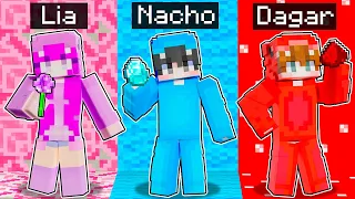 Usando Solo UN COLOR en Mi Mundo de Minecraft!