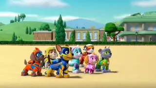 Paw Patrol amv: Live it up