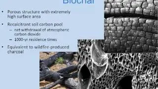 Biochar and Forest Ecology