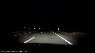 Hitting deer at 60 MPH at night