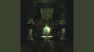 DARKSIDE