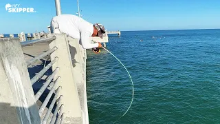 THIS ALMOST PULLED Him In The Water! Pier Fishing Methods That WORK!