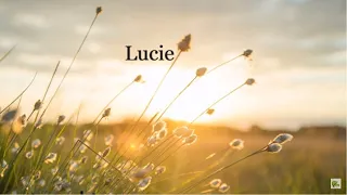 Lucie  -  Daniel Balavoine (Paroles)