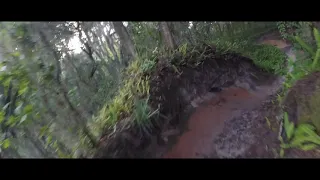 Carter Rd. Lakeland, FL. Mountain biking highlights 7/14/20