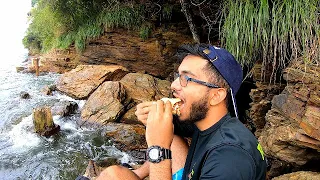 Catch & Cook on the Rocks (FISH WRAP) - Eating The Freshest Fish Possible! Inshore Fishing, Trinidad