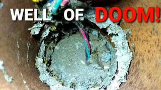 Massive Yellow Jackets Nest inside Water Well | Wasp Nest Removal | Infestation
