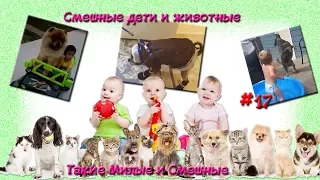 Смешные дети и животные. Такие Милые и Смешные #17