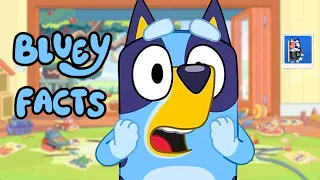 AMAZING Bluey Facts, You Should KNOW